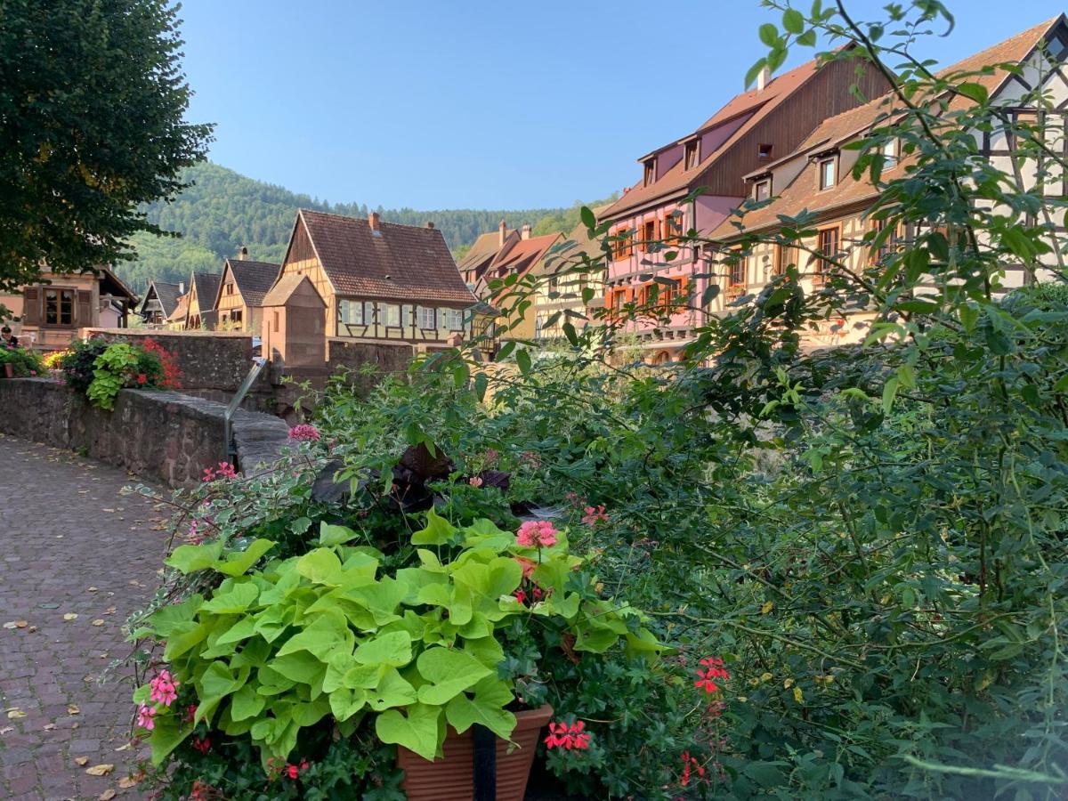 Studio Cosy Kaysersberg Centre Exterior foto